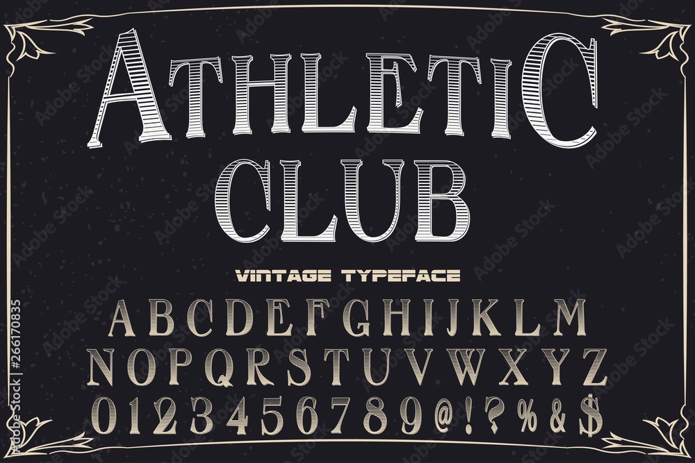 Poster font alphabet script typeface handcrafted handwritten vector label design