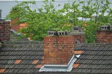 rooftops with brick chimneys and a green tree in between
