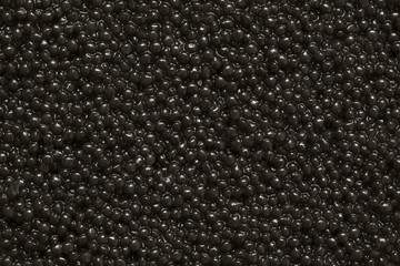 Black caviar close-up as a background. Texture of black caviar