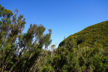 Landscape in Madeira island in a sunny summer day with clear blue sky 