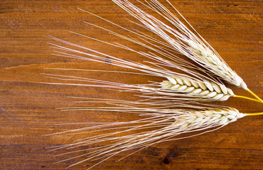 Three Wheat ears on wooden background