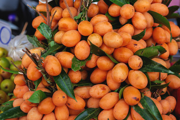 Ripe Bright Orange Sweet Maprang