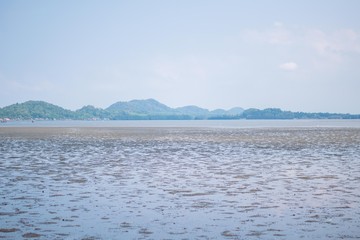 Wetlands view in thailand