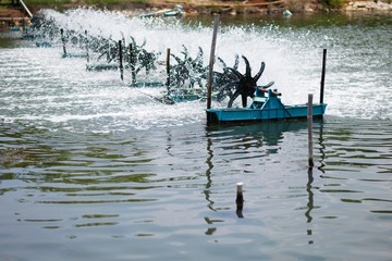 Obraz premium Turbine baler in shrimp pond