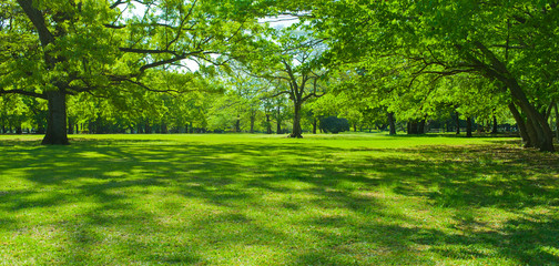 Green garden