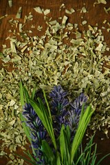 lavendel naturheilkunde