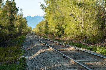Obraz premium single railroad track pass through forest with green trees on both sides and mountain range on the background