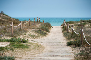 Fototapeta na wymiar path to the sea on a sandy beach you next vacation destination
