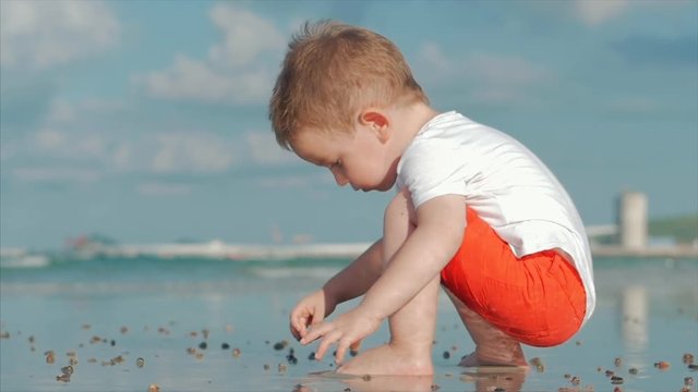 Cute Little Child Plays Near the Sea, Kid Catches, Considers Live Sea Shells, Crabs, On a Tropical Beach Against the Blue Ocean. Concept: Children, Happy Childhood, Summer, Child, Vacation. Soft focus
