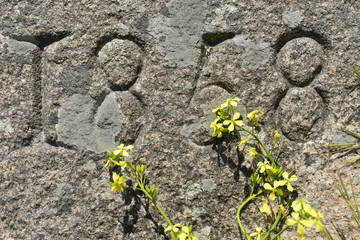 Dated field stone, Jersey, U.K. Victorian text from 1858 and wildflowers.
