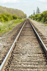 Obraz premium a railroad tracking lead to the far side with green trees and bushes on both sides under overcast sky