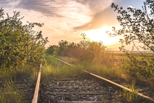 Old abandoned railway track densely overgrown by plants at sunset in Lower Austria