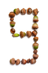 Autumn numbers. Figure 9 is laid out of acorns