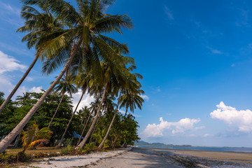 Sand beach with coconut trees with blue sky