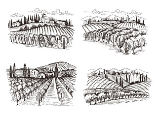 Fototapeta premium Vineyard. Old france chateau wine landscape hand drawn vector illustrations for labels design projects. Winery landscape, vineyard farm