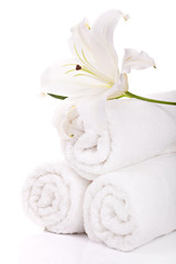 Fototapeta na wymiar Beautiful lilly on towels rolls