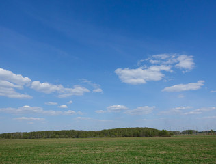 Green field and blue sky with clouds. Beautiful landscape.