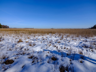 snow covered fields in countryside