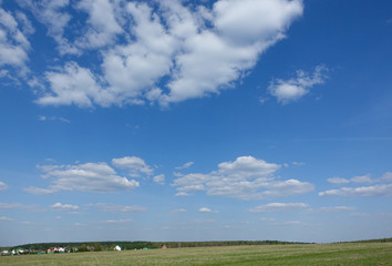 Fototapeta premium Green field and blue sky with clouds. Beautiful landscape.