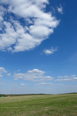Fototapeta na wymiar Green field and blue sky with clouds. Beautiful landscape.