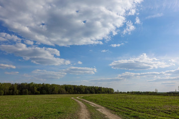 Fototapeta na wymiar Green field with country road, and blue sky with clouds. Beautiful rural landscape