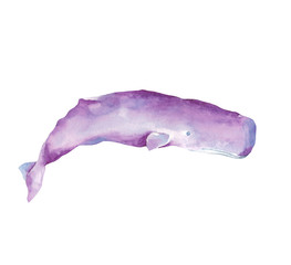 Whales Sea Animals Dolphin Narwhal Killer Whale Beluga Ocean Blue Watercolor Hand Drawn Illustration Isolated © aksinyalady