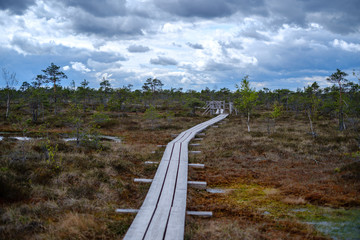 beautiful wooden plank boardwalk footpaths in swamp national park of Kemrei in Latvia