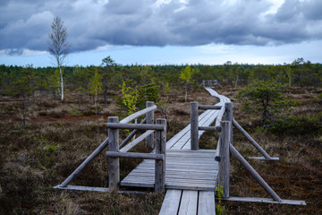 Fototapeta na wymiar beautiful wooden plank boardwalk footpaths in swamp national park of Kemrei in Latvia