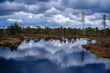 swamp lakes with reflections of blue sky and clouds in National Nature Park Kemeri in Latvia