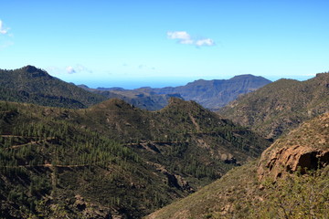 The green valley Barranco de Mogan on Gran Canaria
