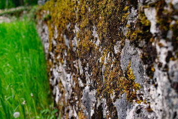 Natursteinmauer