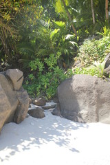 beach seychelles bali iceland tours