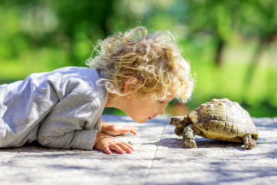 lovely boy with turtle