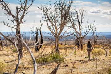 Woman in dead tree forest