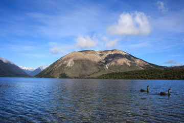 Two black swans with red beaks swimming in a blue lake, mountain range and blue sky in the backround