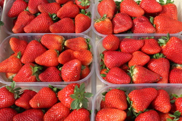 Frische Erdbeeren in Schälchen auf dem Markt