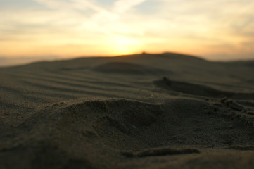 strand