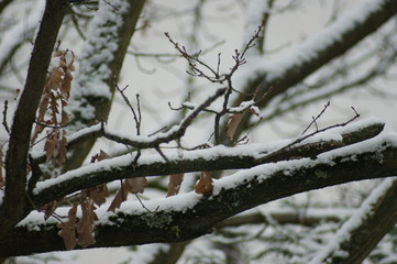 winter