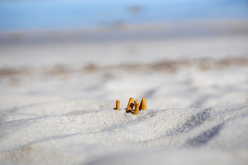 Obraz premium Waste on the beach