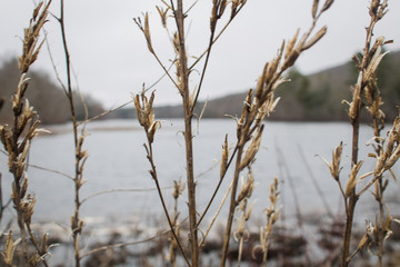 Landscape Shots
