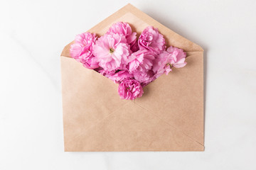 Pink cherry blossom flowers in envelope. Flat lay, top view. holiday or wedding background