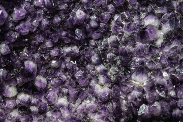 Amethyst cluster rough crystals close up in low light background