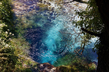 Blue eyes source in Albania 