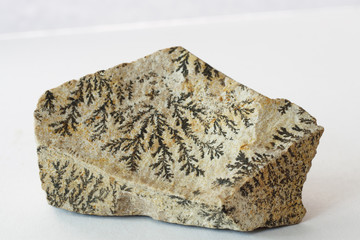 Limestone with crystallization from Mount Sinai Algeria on white background