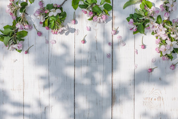 spring flowers of apple tree on white wooden background