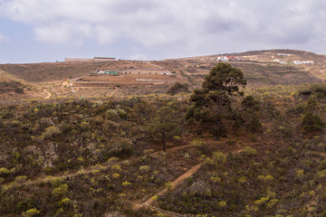 Hill with trees and buildings, Tenerife, Spain