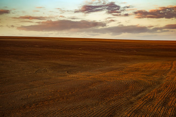 Fototapeta na wymiar agricultural spring ploughed field before sowing at sunset