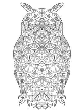 Vector hand drawn Owl sitting on branch. Black and white zentangle art. Ethnic patterned illustration for antistress coloring book, tattoo, poster, print, t-shirt.