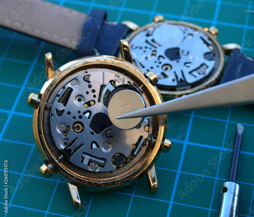 Citizen watch repair houston