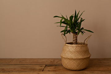 Home plans in braided pot in the background of a beige wall